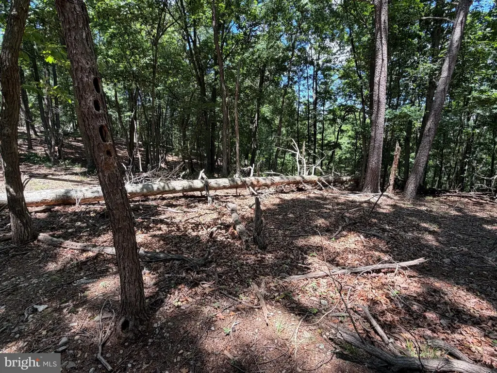 Picture 47