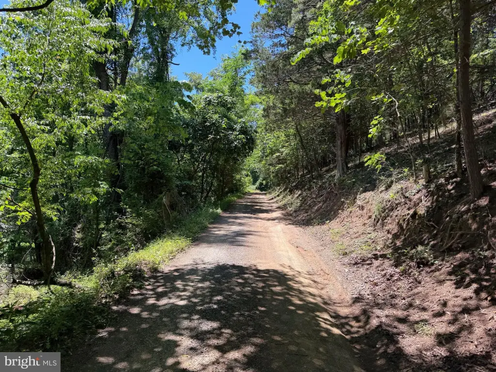 Picture 39