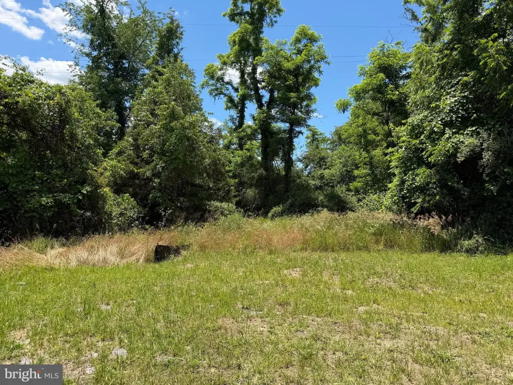 Picture 38