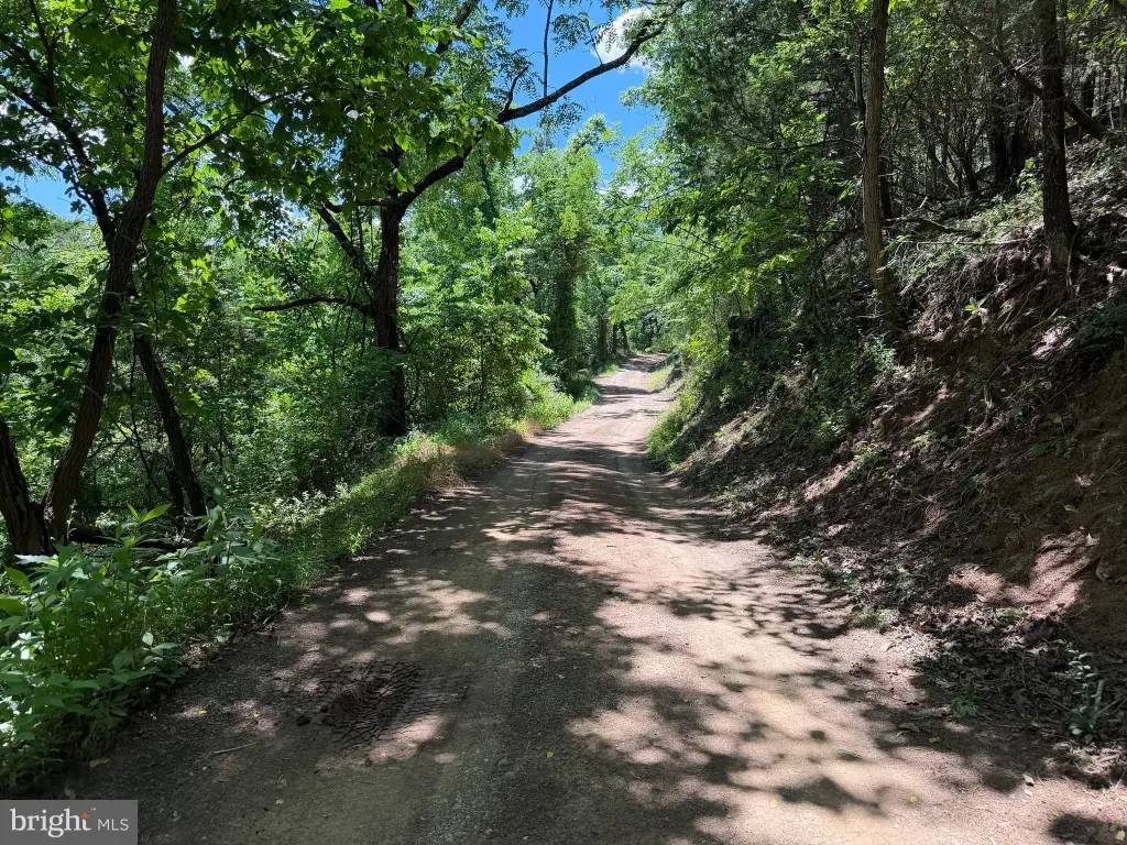 Picture 37