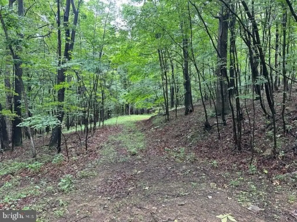 Picture 4