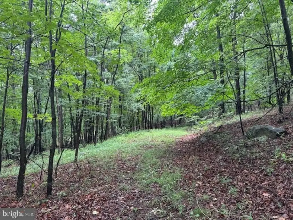 Picture 6