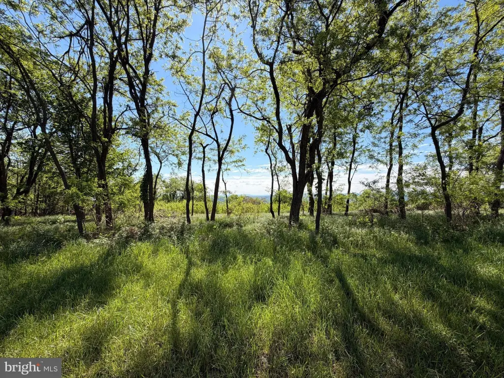 Picture 19