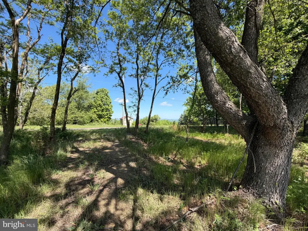 Picture 22