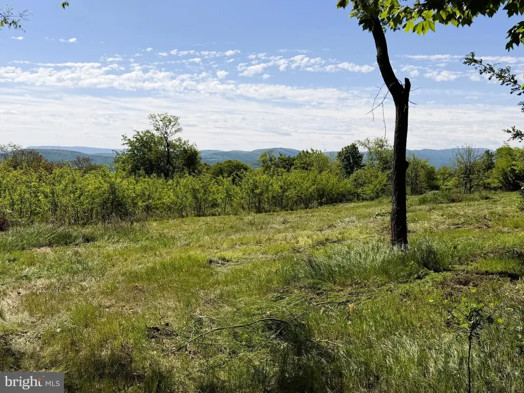 Picture 16