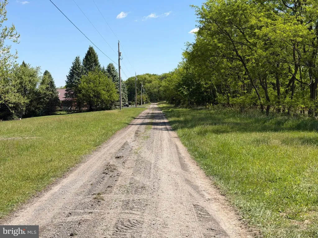 Picture 28