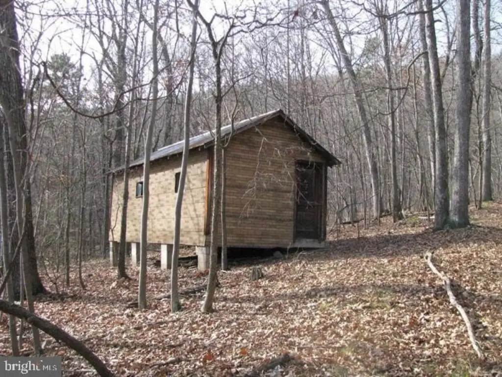 Picture 42