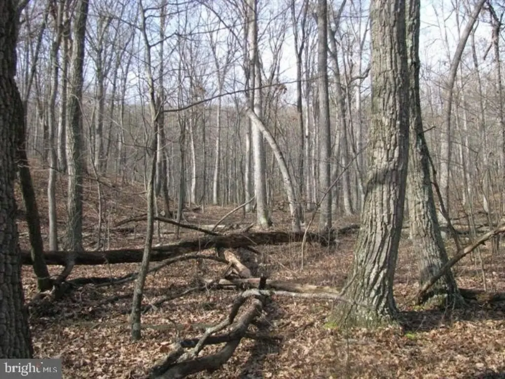 Picture 60