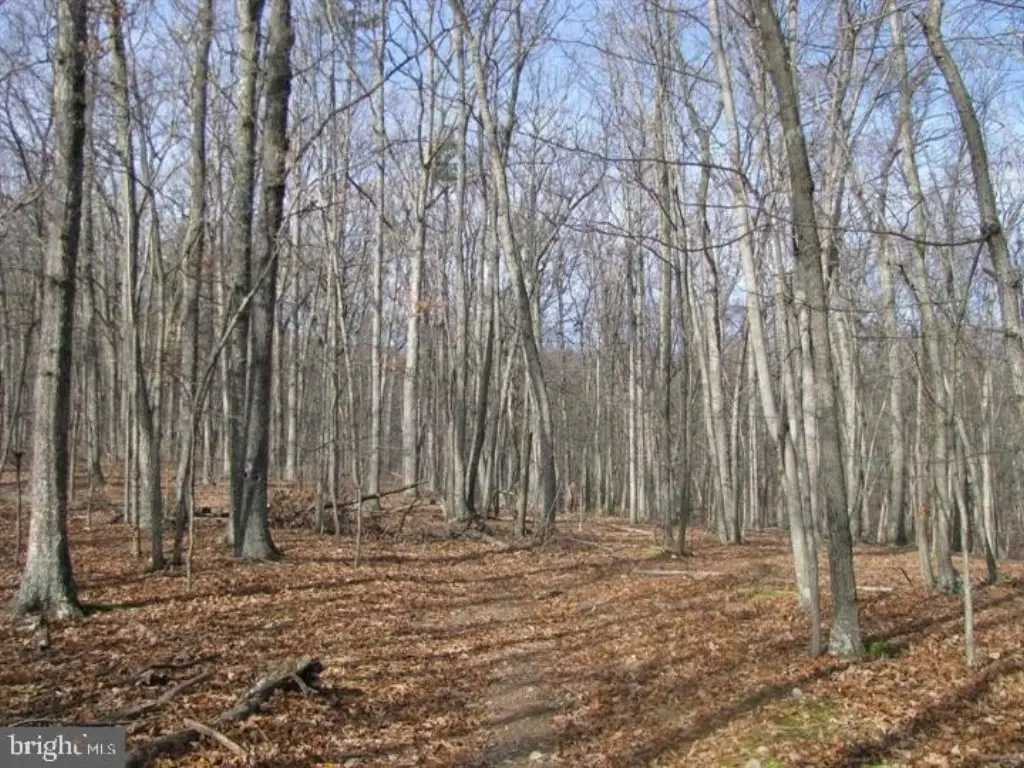 Picture 58