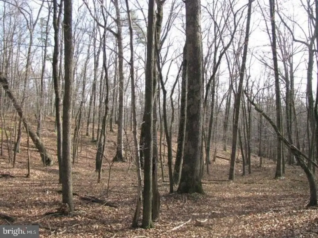 Picture 62