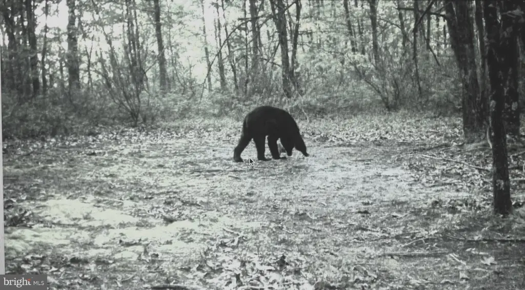 Picture 32