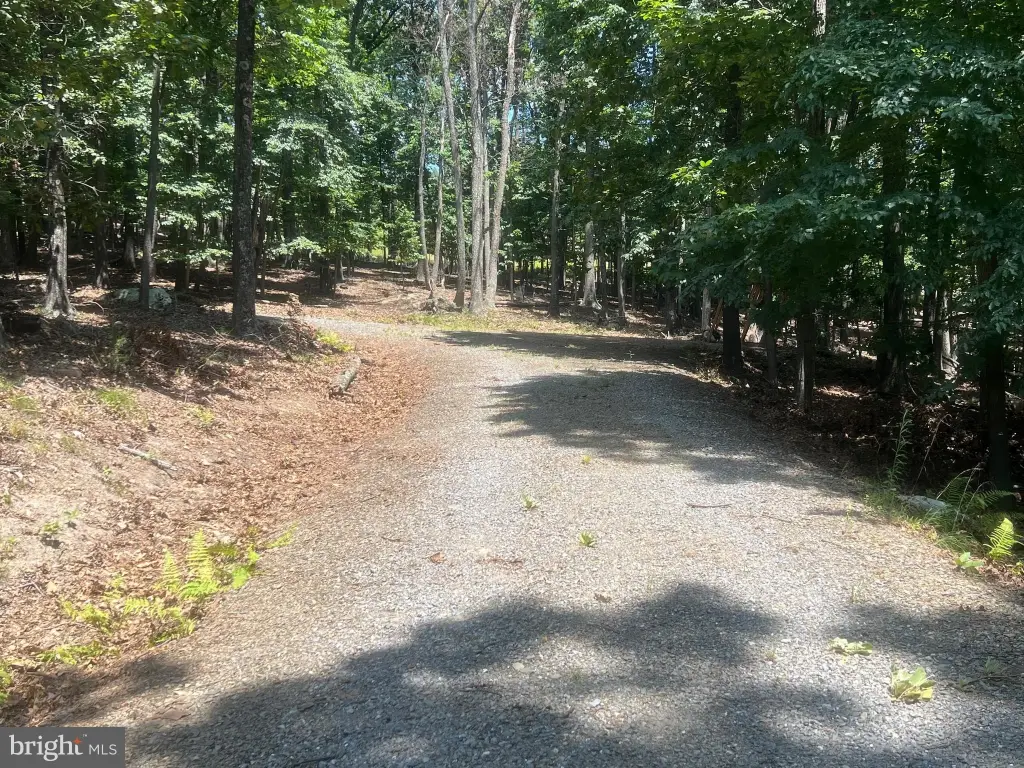 Picture 19