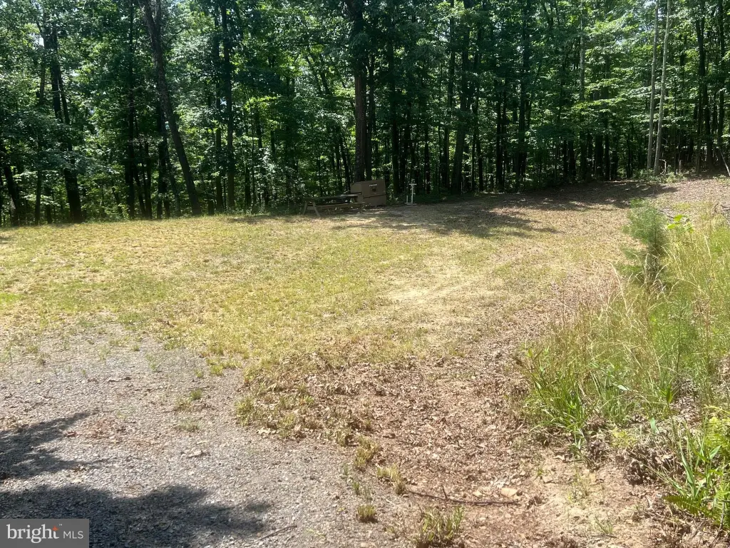 Picture 17