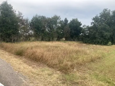 Residential Land in Lake Wales