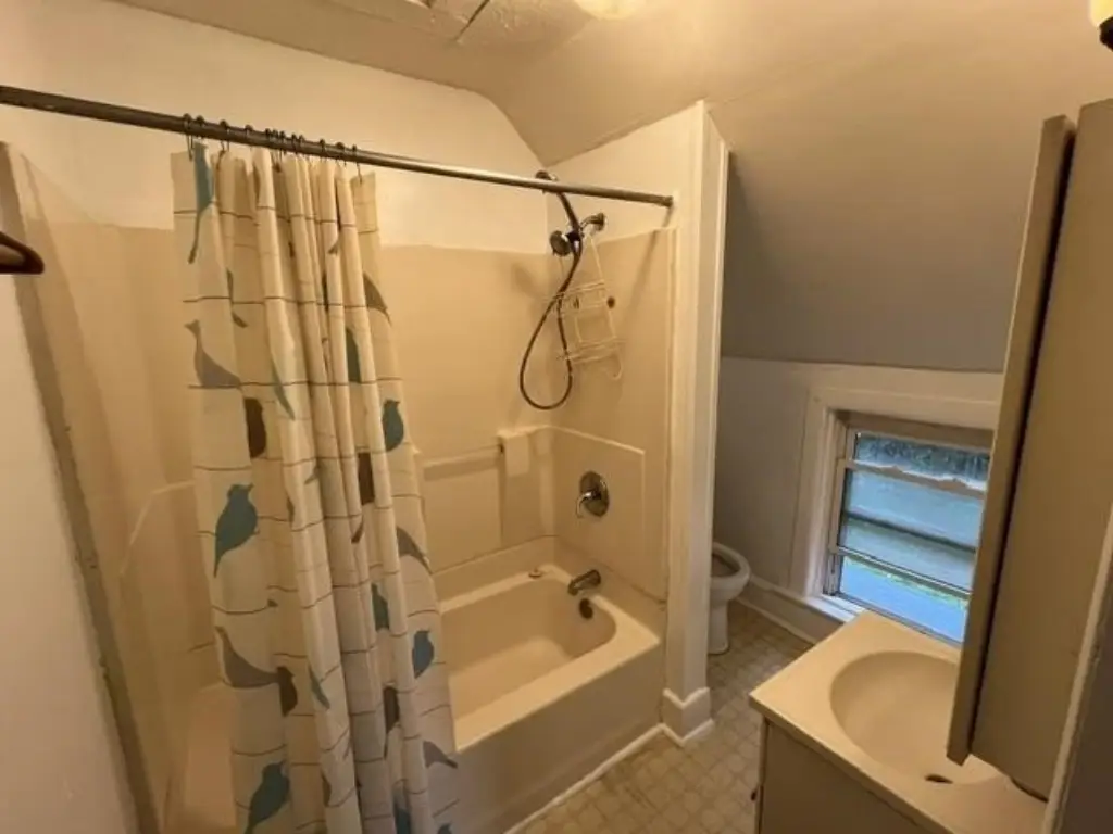 Picture 18
