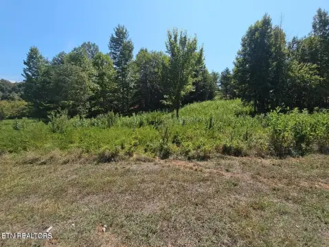 Harriman, TN Land with Dock