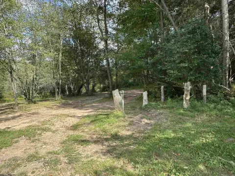 Residential Land in Davis, WV