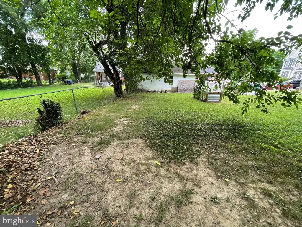 Picture 2