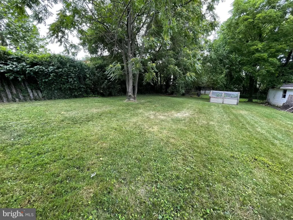 Picture 3