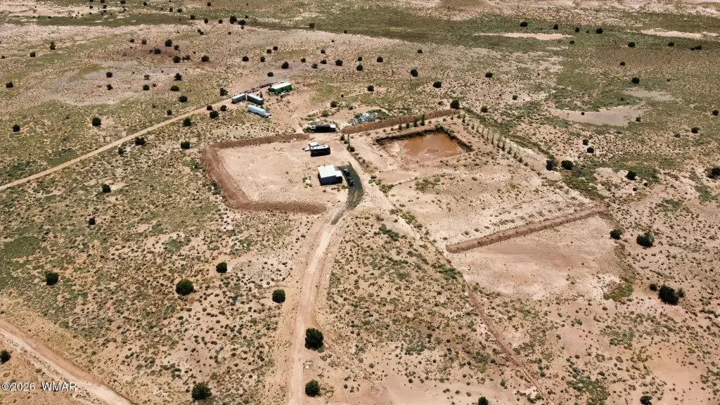 Picture 23