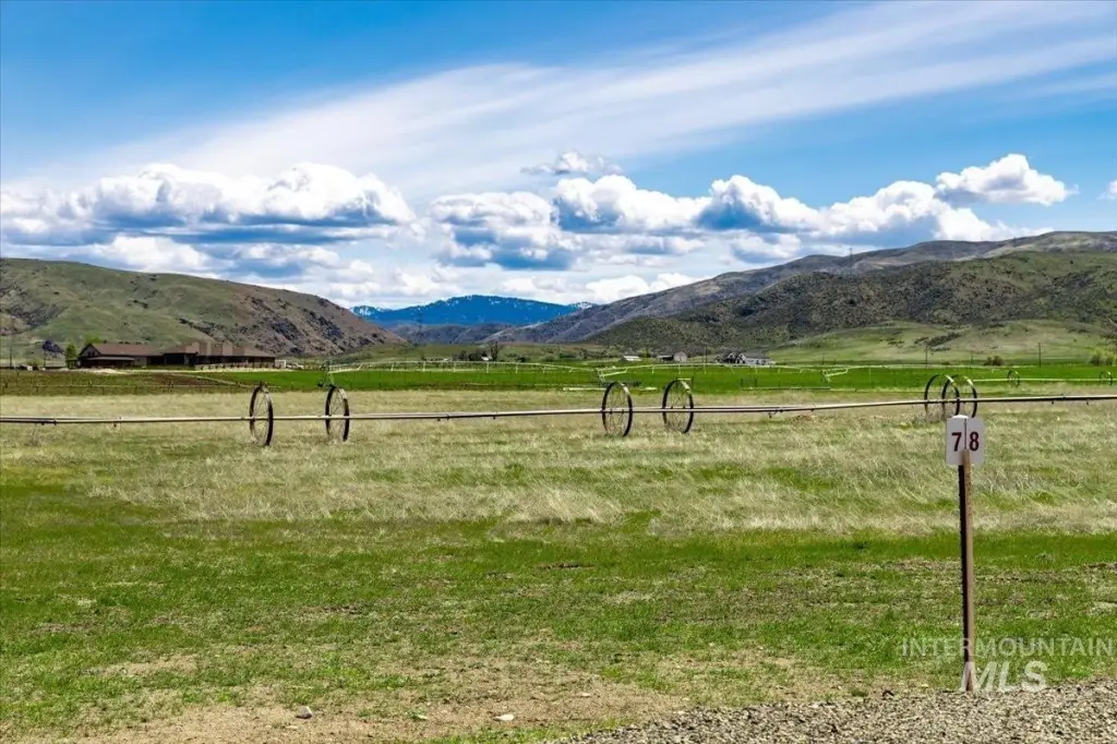 Picture 35