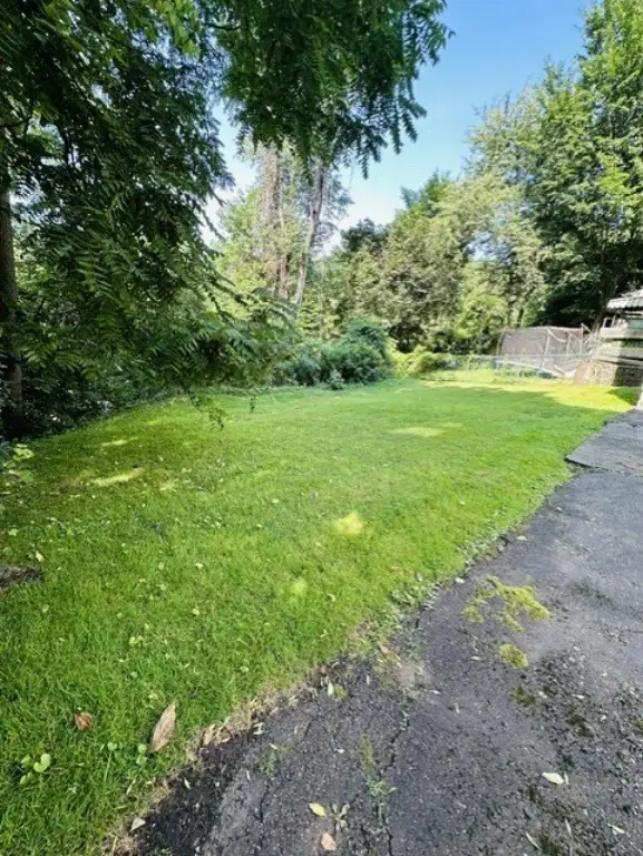 Picture 29