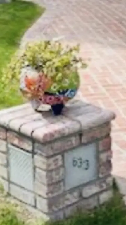 Picture 9
