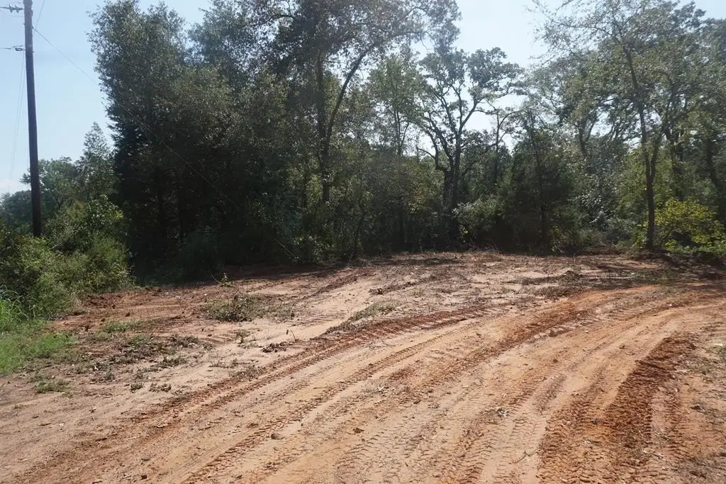 Picture 9