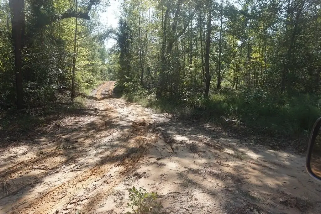 Picture 2