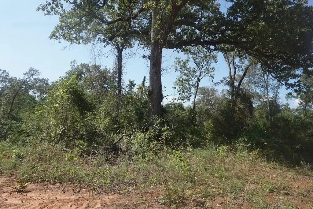 Picture 10