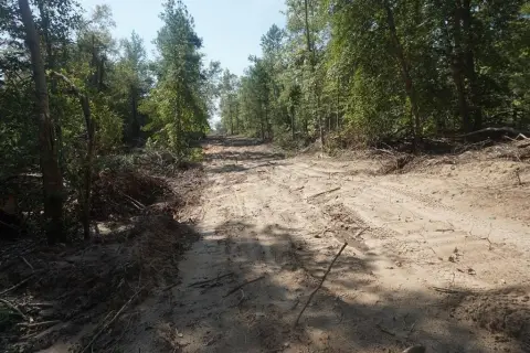 Hunting Land with Wet-Weather Creek