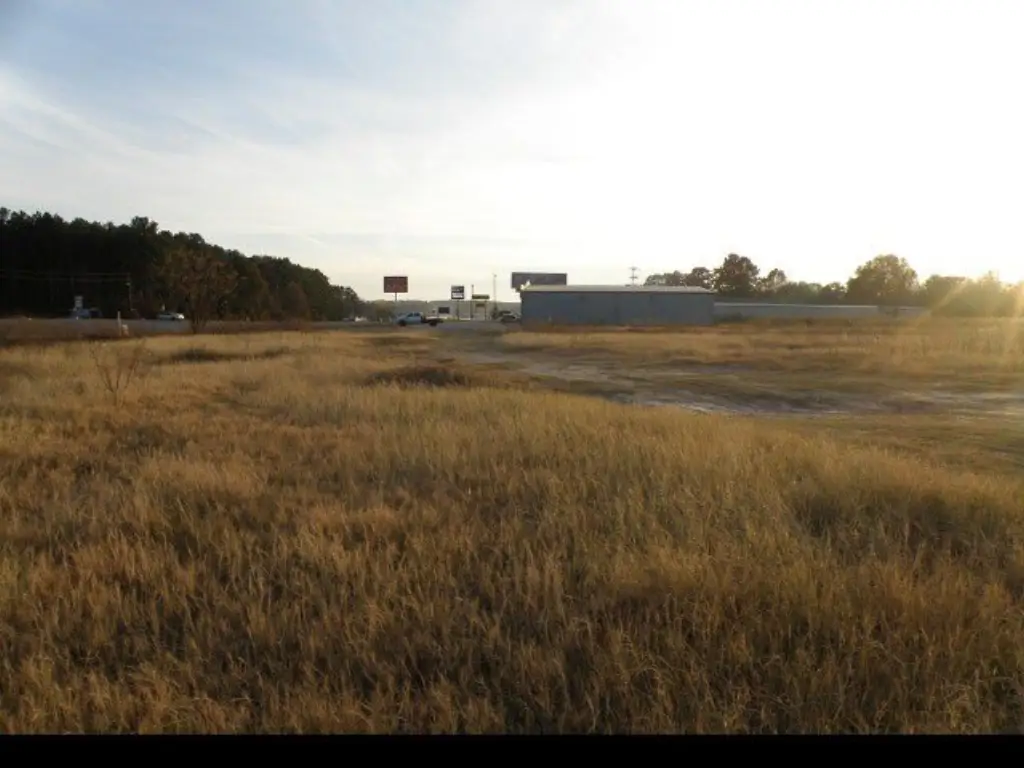 Picture 15