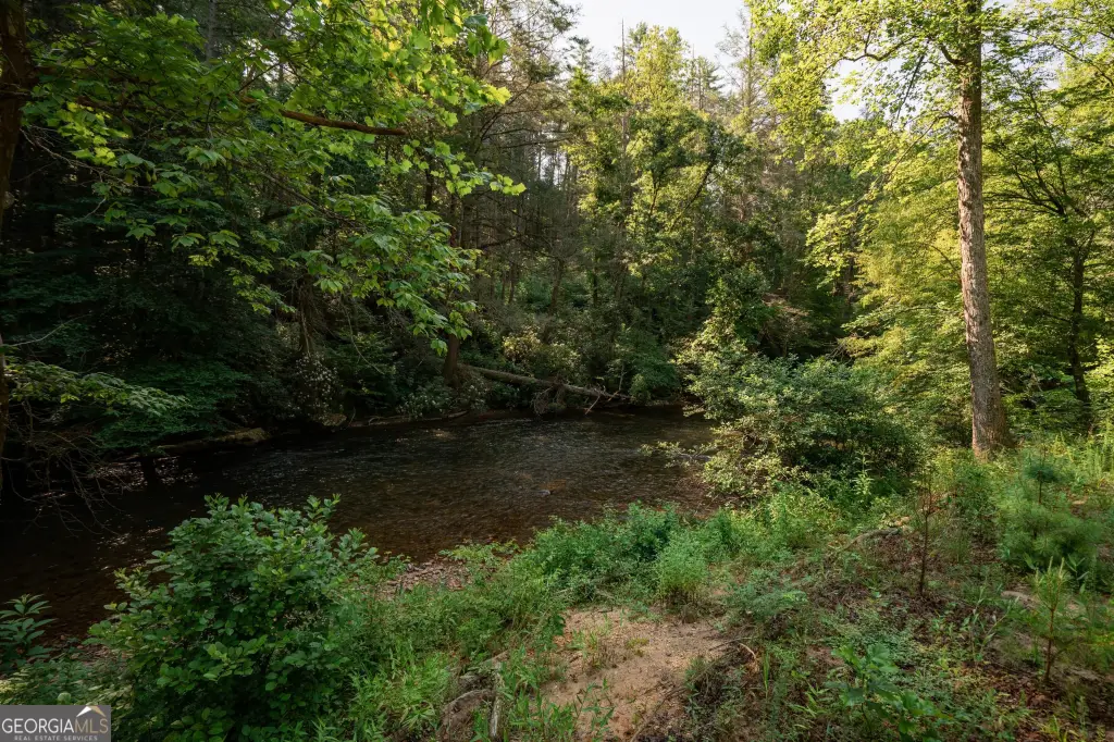 Picture 27