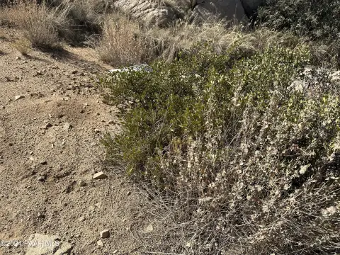 Land with Great Views