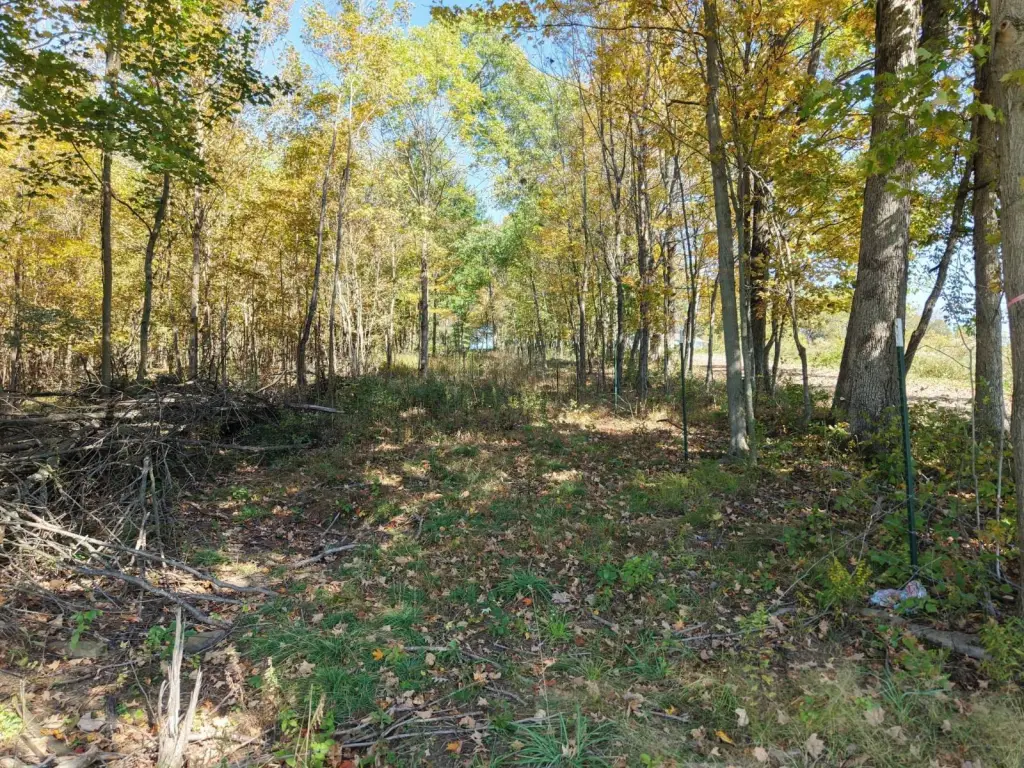 Picture 28