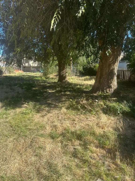 Picture 3