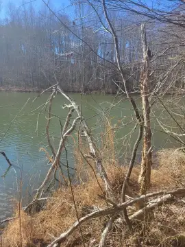 Riceville Land with Pond