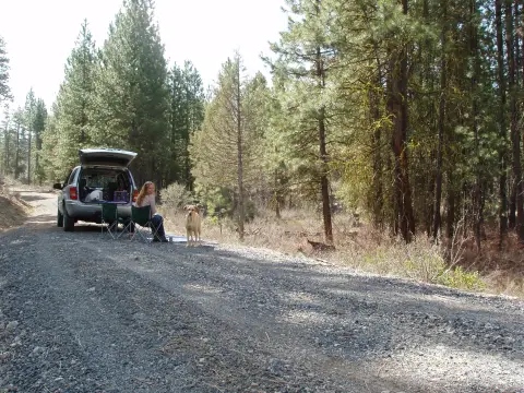 Wooded Lots in Bonanza, Oregon
