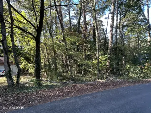 Residential Land in Loudon, TN