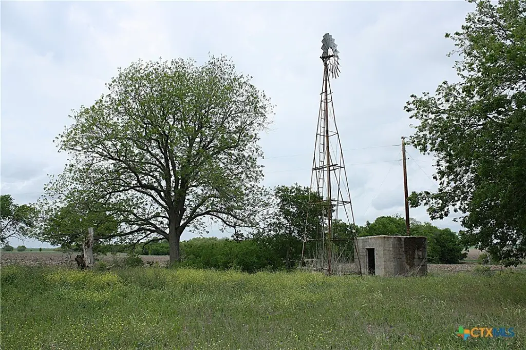 Picture 22