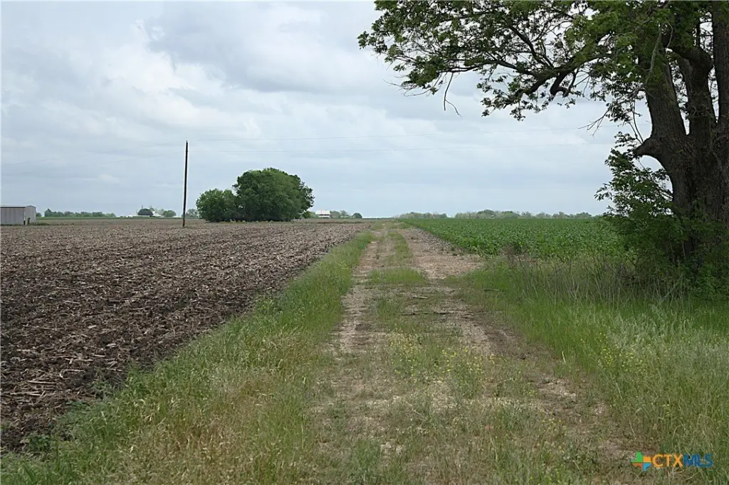 Picture 9