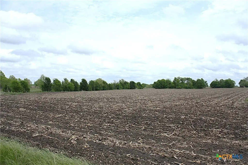 Picture 15