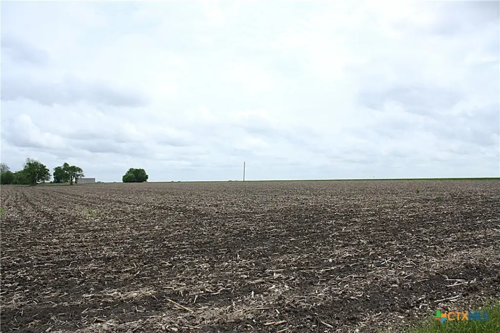 Picture 16