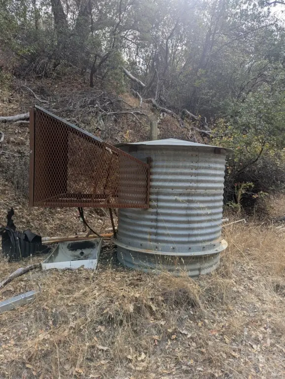 Picture 39