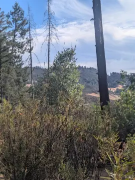 Wooded Recreation Land