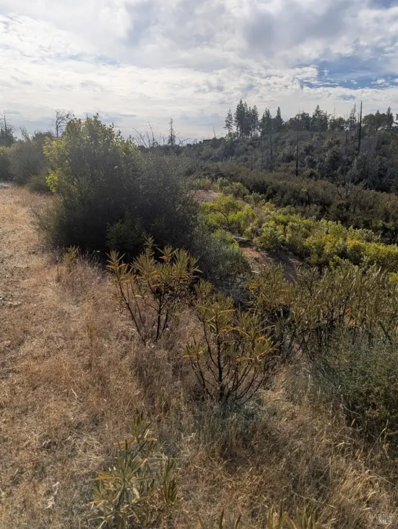 Picture 22