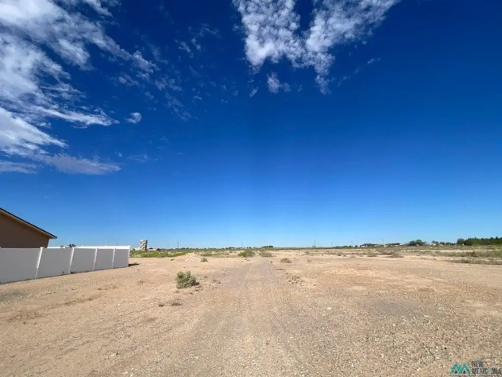 Picture 13