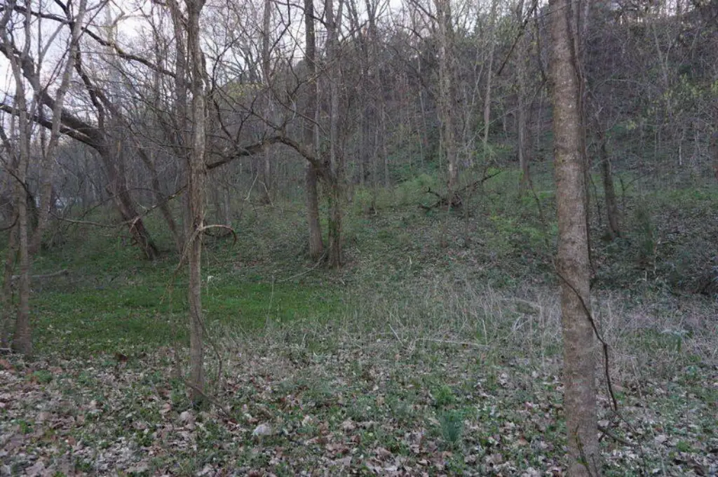 Picture 13