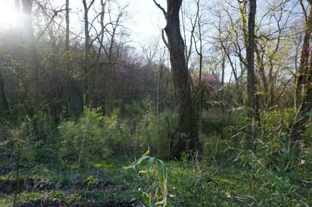 Picture 3
