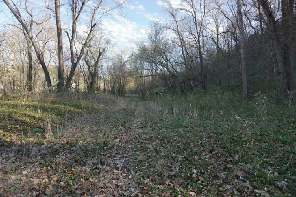 Picture 9
